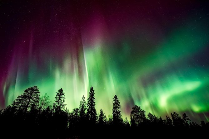 Aurora Viewing Lodge - Key points to know before booking