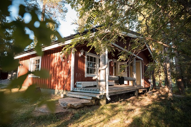 Best Of Lapland: Sauna, Ice swimming, Dinner & Northern Lights - Pickup, timing, and the small-group advantage