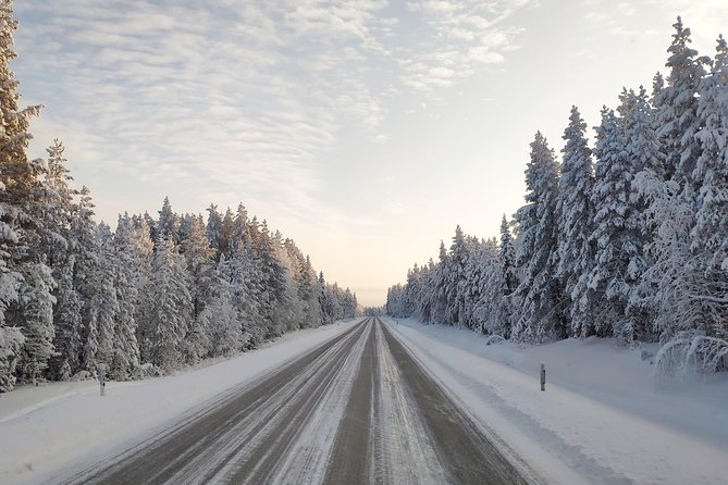 Best Of Lapland: Sauna, Ice swimming, Dinner & Northern Lights - Who will enjoy this most