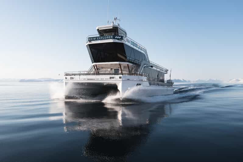 Bodø: Northern Lights Cruise - What the guide adds to the night