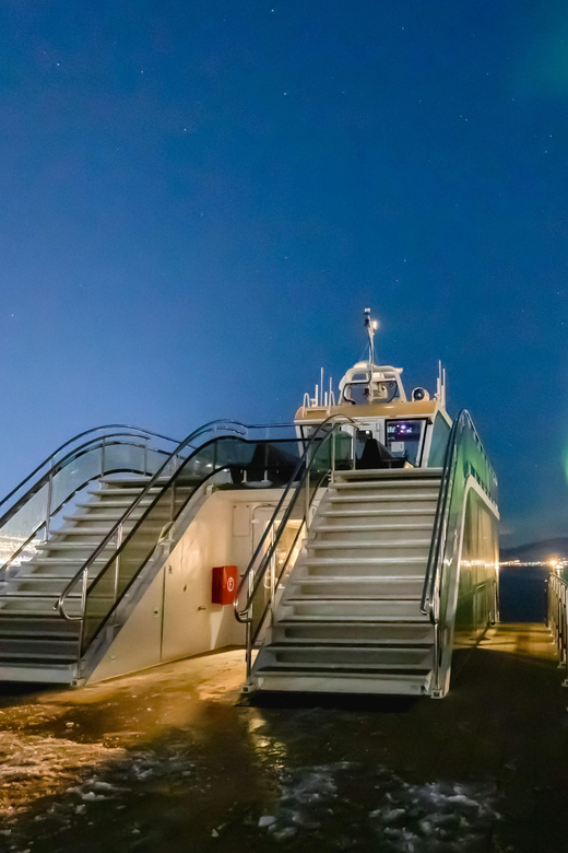 Bodø: Northern Lights Cruise - Leaving Bodø after dark
