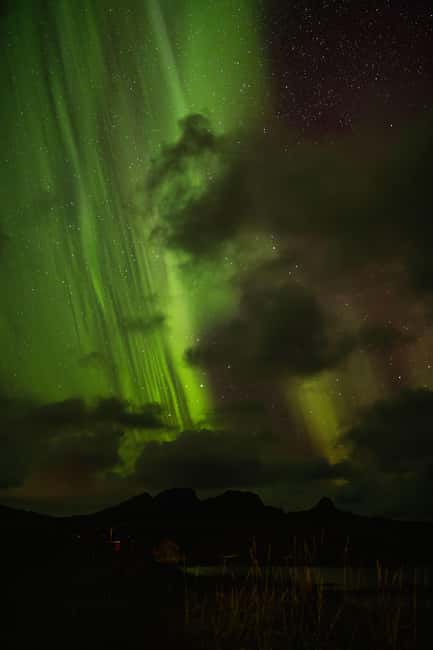 Bodø: Northern Lights safari - Key points about this Bodø aurora hunt