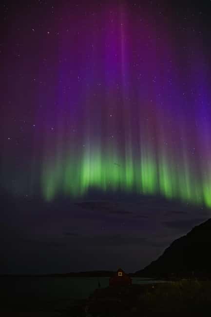 Bodø: Northern Lights safari - The 105-minute stop under the night sky