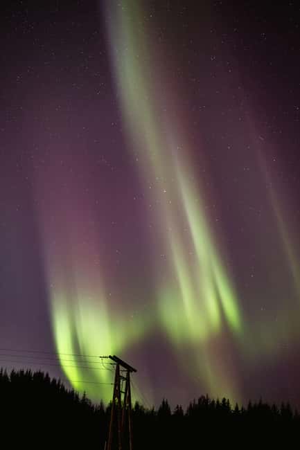 Bodø: Northern Lights safari - How the guide handles uncertain conditions