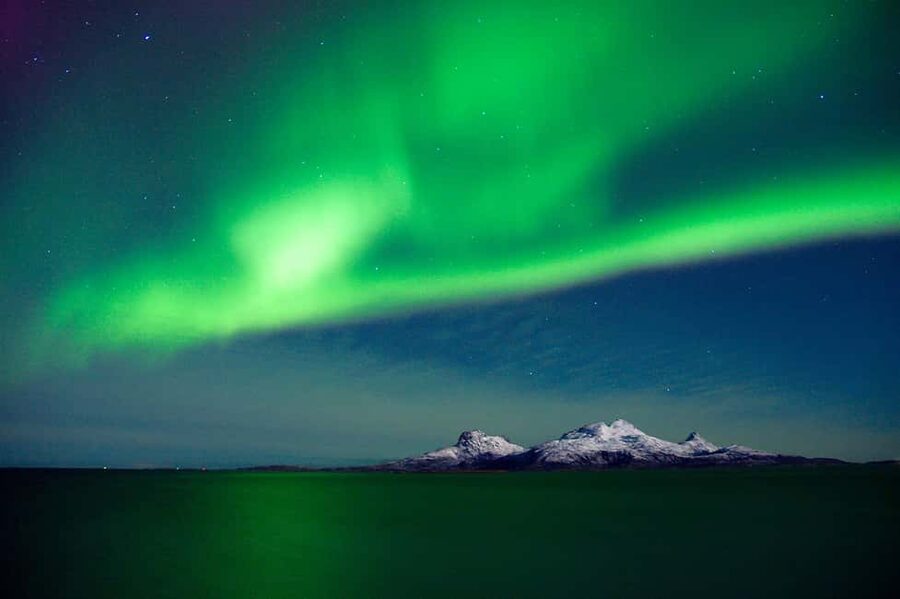 Bodø: Northern Lights safari - What the $181 price means