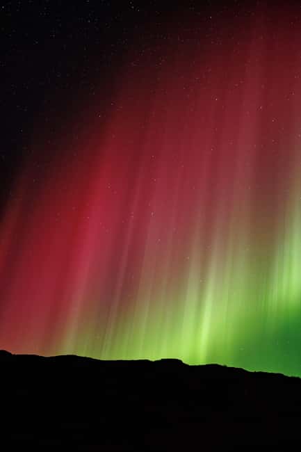 Bodø: Northern Lights safari - Who will enjoy this most