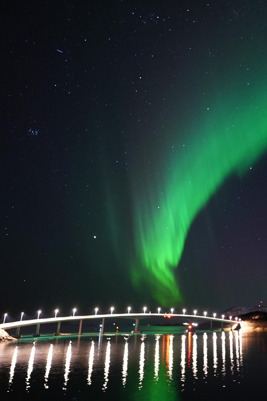 Chase the Magic of the Northern Lights in Tromsø Norway - Key points before you book