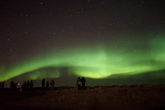 Chasing Aurora Borealis with Warmth and Treats in Premium Tour! - Key points before you book