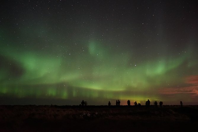 Chasing Aurora Borealis with Warmth and Treats in Premium Tour! - Warm chocolate, Icelandic pastries, and the cold