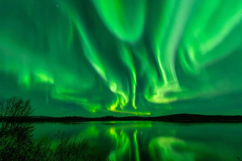 Experience the majestic Auroras Kiruna-Abisko & lodge dinner - Dinner at Máttaráhkká Northern Lights Lodge