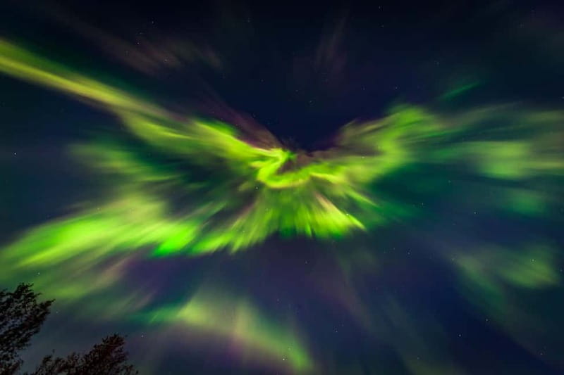 Experience the majestic Auroras Kiruna-Abisko & lodge dinner - What the $255 price buys you