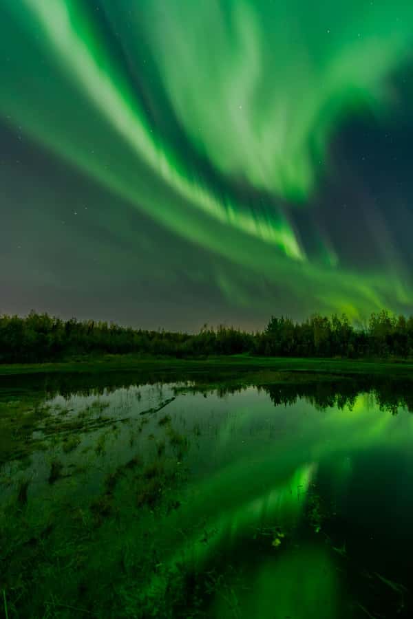 Fairbanks: Aurora Borealis Northern Lights Tour - Key points at a glance