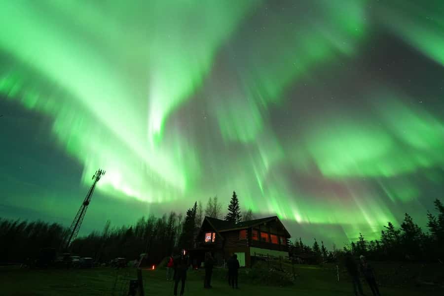 Fairbanks: Aurora Husky Lodge Aurora Viewing Tour - Key points at a glance