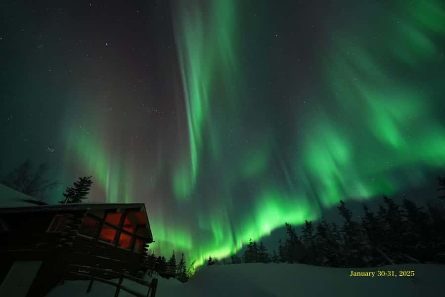 Fairbanks: Aurora Husky Lodge Aurora Viewing Tour - Booking and cancellation details to check