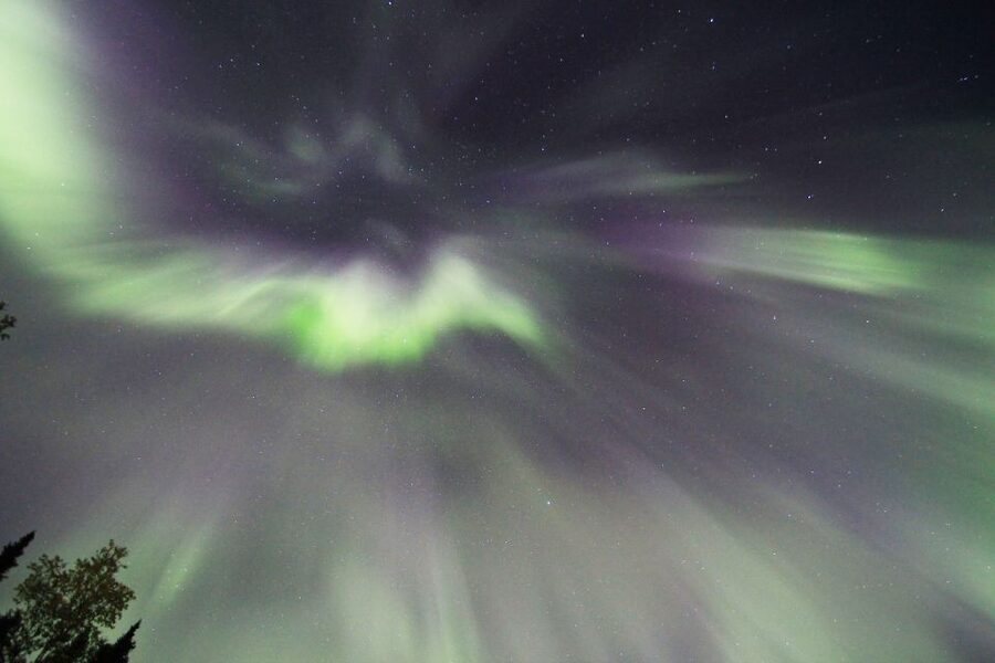 Fairbanks: Moonlight Dog Sled, Dinner & Northern Lights - Leaving Fairbanks for a Moonlit Dog Team