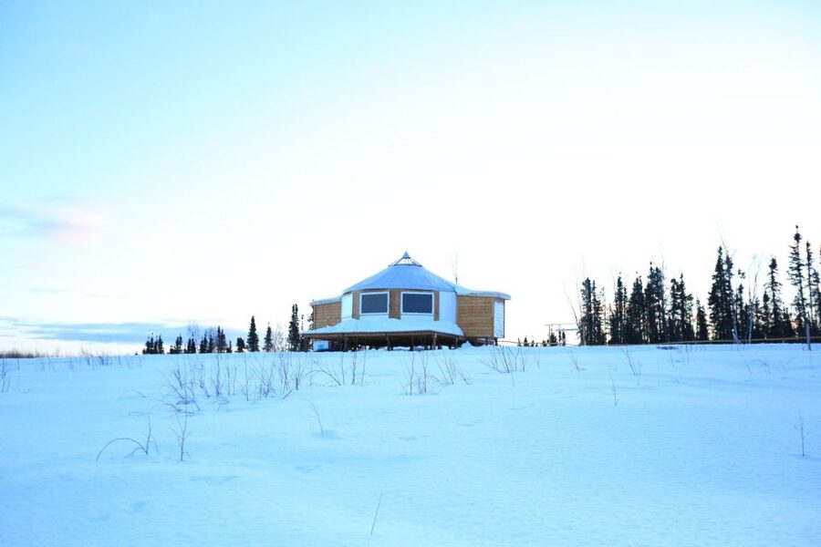 Fairbanks: Moonlight Dog Sled, Dinner & Northern Lights - Waiting for the Aurora Without Freezing