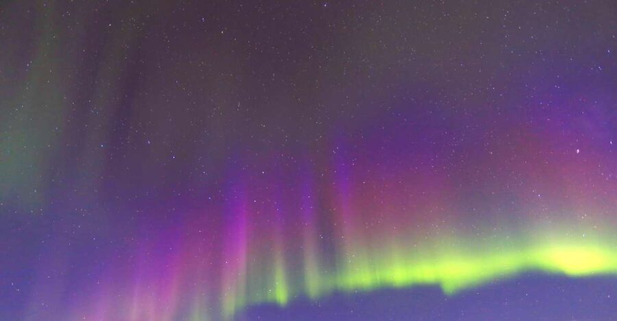 Fairbanks: Moonlight Dog Sled, Dinner & Northern Lights - The 30-Minute Sled Ride Through Winter Darkness