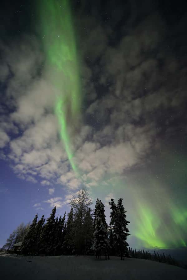 Fairbanks: Northern Lights Adventure with Photos & HOT PIZZA - Is $300 a Fair Price?