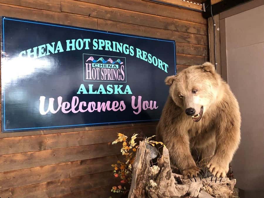 Fairbanks: Northern Lights and Chena Hot Springs Tour - The long winter road to Chena Hot Springs