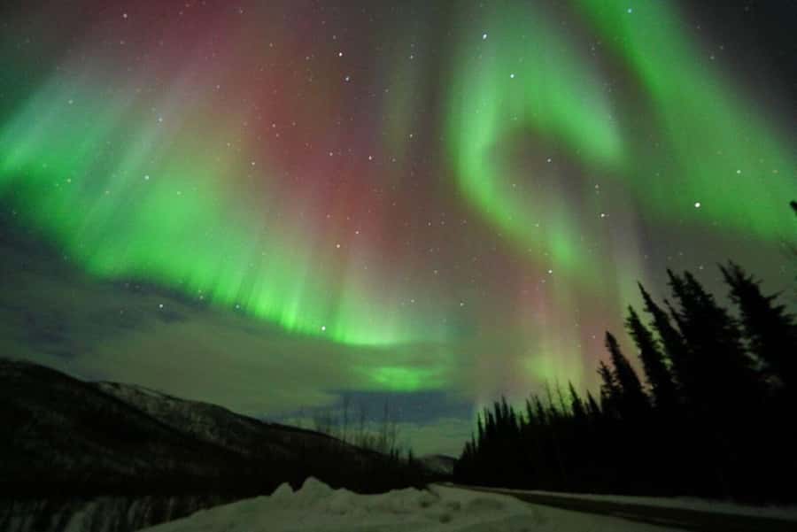 Fairbanks: Northern Lights and Chena Hot Springs Tour - The late ride back to Fairbanks
