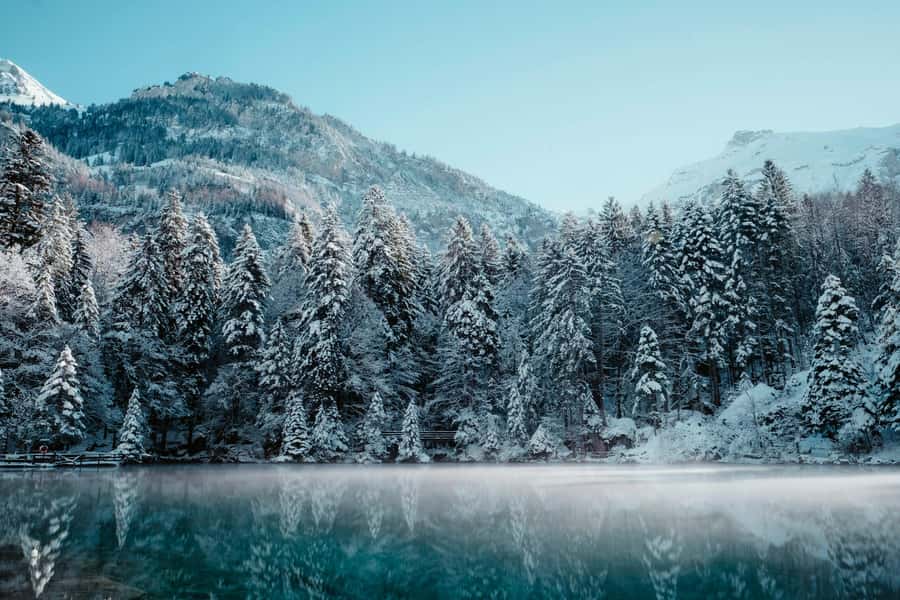 Fairbanks: Northern Lights and Chena Hot Springs Tour - Who should book this Chena Hot Springs outing?