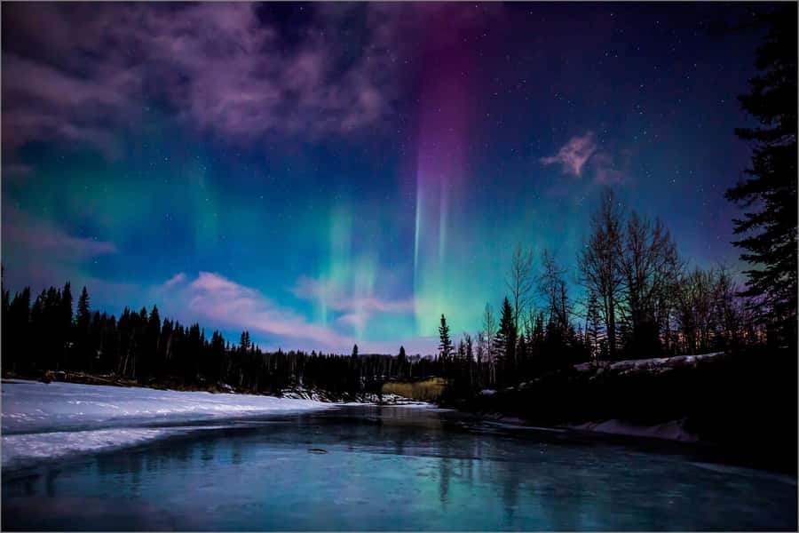 Fairbanks: Northern Lights and Chena Hot Springs Tour - Inside the Aurora Ice Museum