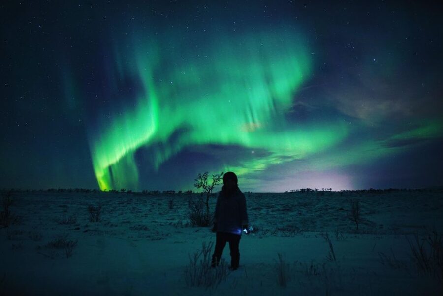 From Alta: Nighttime Northern Lights Spotting Tour - Key points to know before you book