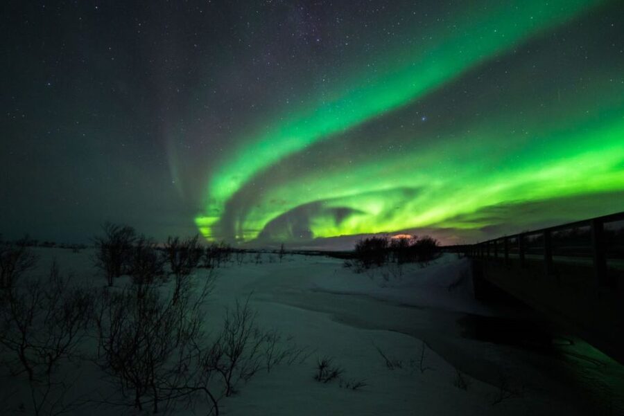 From Alta: Nighttime Northern Lights Spotting Tour - Starting at Æventyr in central Alta