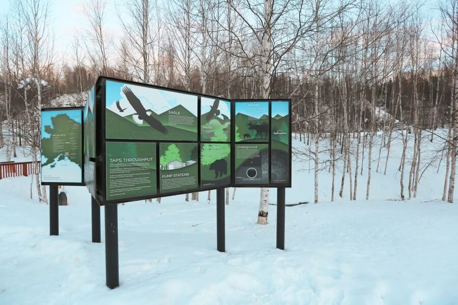 From Fairbanks: Arctic Circle Northern Lights Full-Day Trip - Key points to know before booking