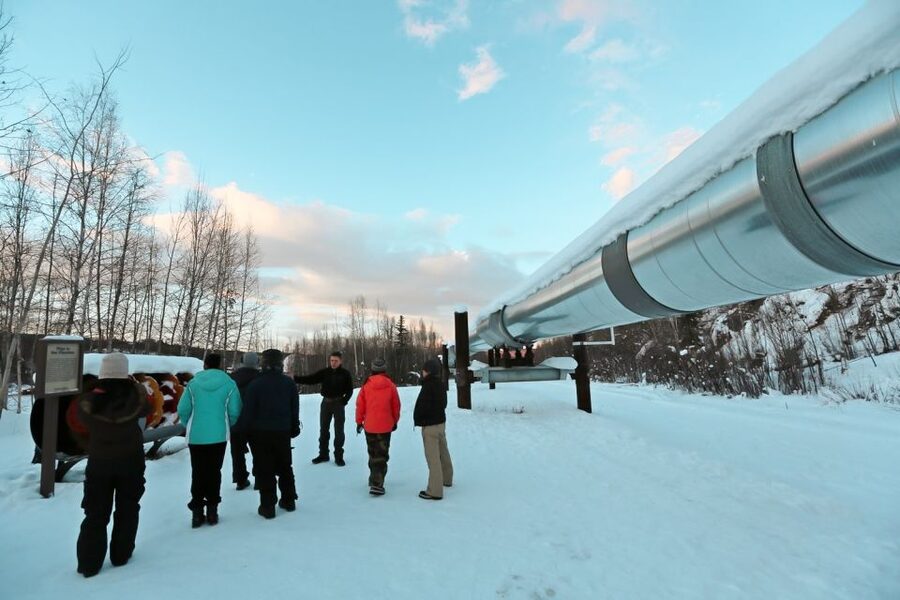 From Fairbanks: Arctic Circle Northern Lights Full-Day Trip - A full day on Alaska’s northern road