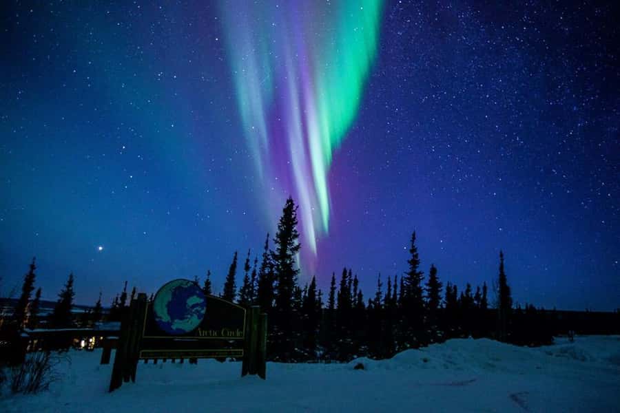 From Fairbanks: Northern Lights and Arctic Circle Tour - Key points to know before you book