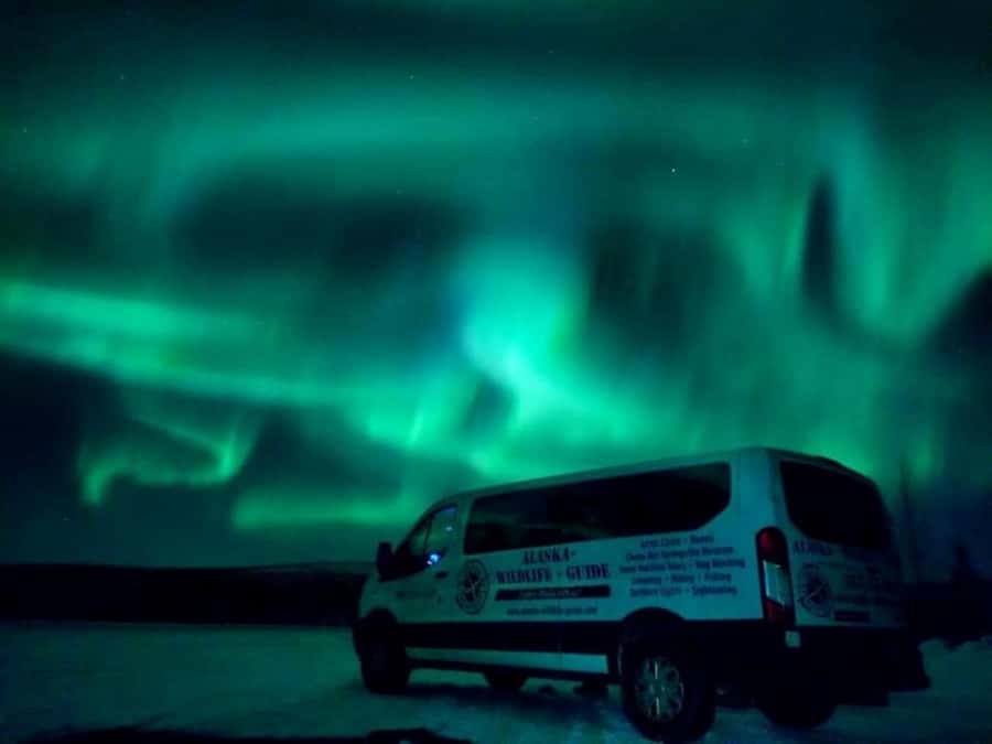 From Fairbanks: Northern Lights and Arctic Circle Tour - The Dalton Highway is the main event