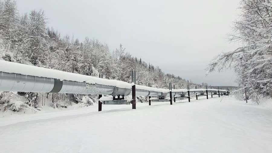 From Fairbanks: Northern Lights and Arctic Circle Tour - What the 14-hour van ride feels like