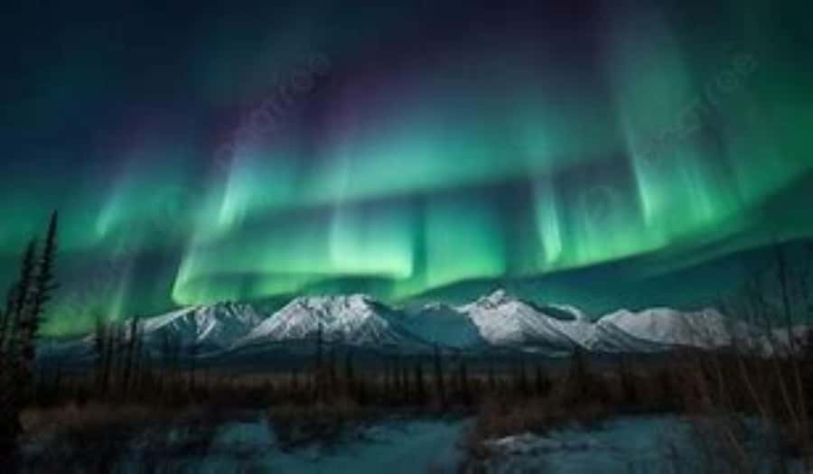 From Fairbanks: Northern Lights and Arctic Circle Tour - Who will enjoy this tour most