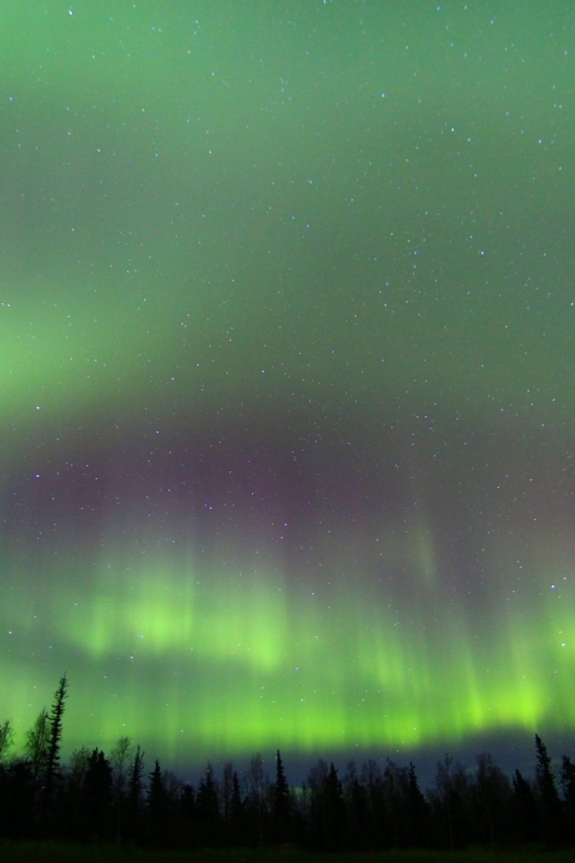 From Fairbanks: Northern Lights & Murphy Dome Tour - Waiting beneath a 360-degree winter sky