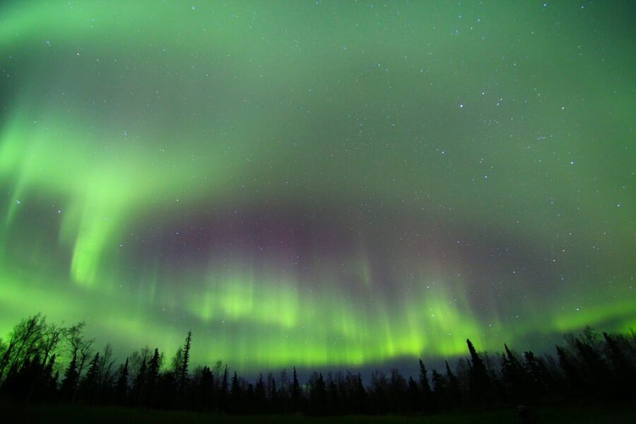 From Fairbanks: Northern Lights & Murphy Dome Tour - The ride to Murphy Dome