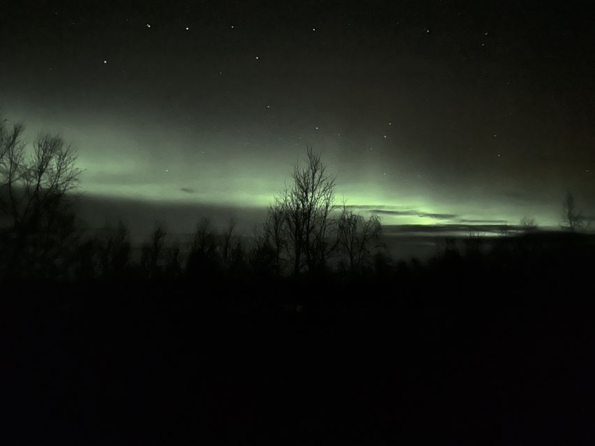 From Kiruna: Abisko National Park Northern Lights Tour - Swedish fika beside the snow