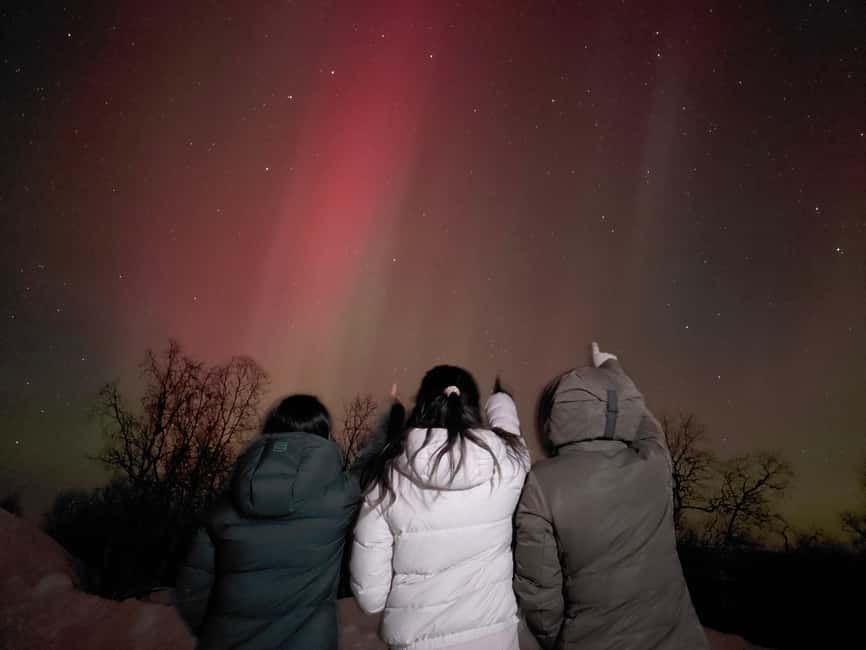 From Kiruna: Abisko National Park Northern Lights Tour - Stops, sky checks, and the northern lights hunt