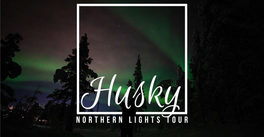 From Kiruna: Northern Lights Guided Husky Sledding Adventure - Key details before you book