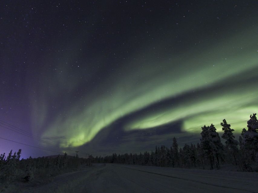 From Kiruna: Northern Lights Guided Husky Sledding Adventure - The 30-minute safety lesson