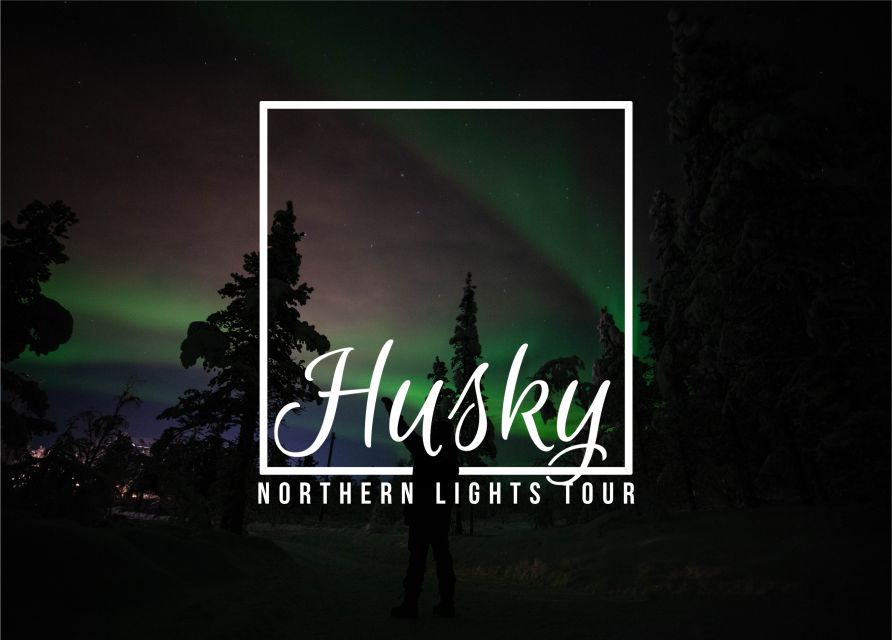 From Kiruna: Northern Lights Guided Husky Sledding Adventure - Meeting the huskies at the base camp