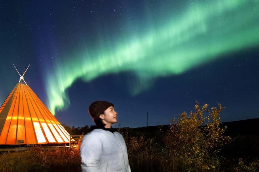 From Narvik: The Northern Lights Arctic Train Guided Tour - Returning to Narvik after 90 minutes outside