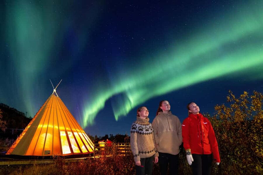 From Narvik: The Northern Lights Arctic Train Guided Tour - Who will enjoy this train tour most?