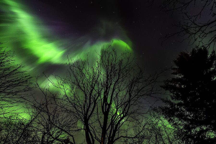From Reykjavik: Golden Circle and Northern Lights Tour - Who should book this experience?