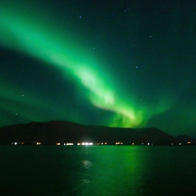 From Reykjavik: Northern Lights Boat Cruise - Should you book this Northern Lights boat cruise?
