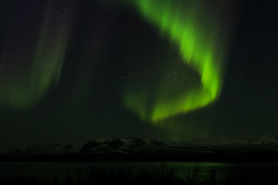 From Reykjavik: Northern Lights Bus Tour with Hot Cocoa - Is $74 a fair price?