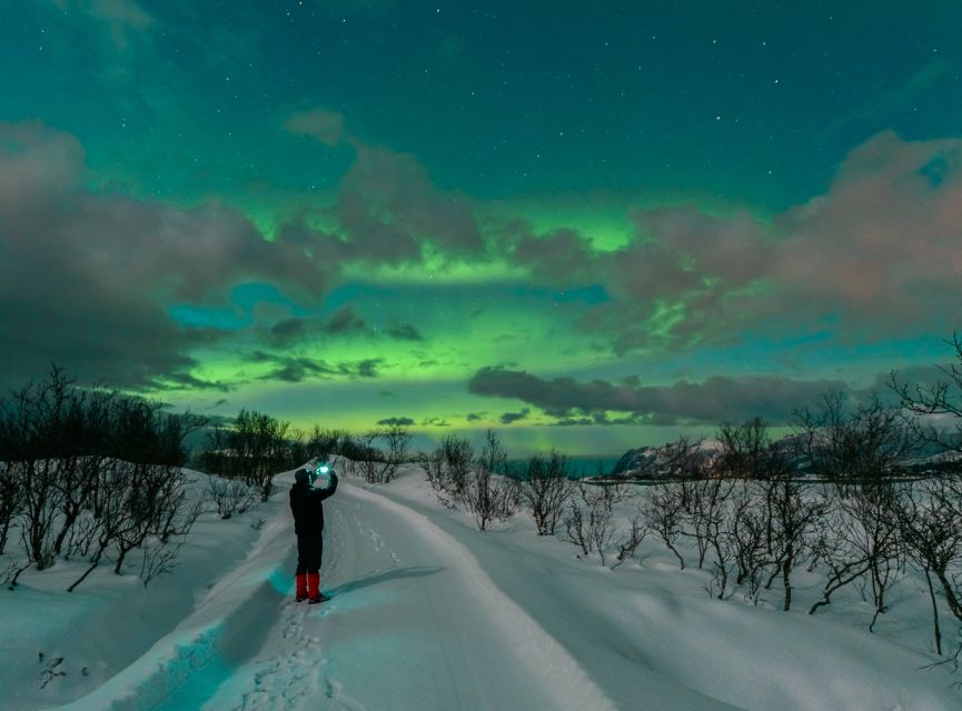 From Reykjavik: Northern Lights Chase with Expert Guide - Who should book this experience?