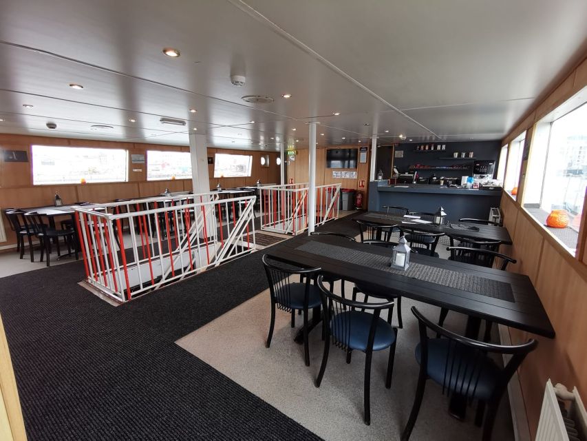 From Reykjavik: Northern Lights Sightseeing Cruise - How the Guides Help You Find Faint Light