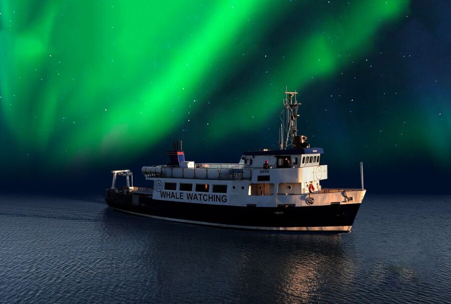 From Reykjavik: Northern Lights Sightseeing Cruise - Two Observation Decks and a Warm Place to Wait