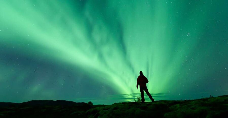 From Reykjavik: Northern Lights Tour - Waiting beneath the Arctic sky